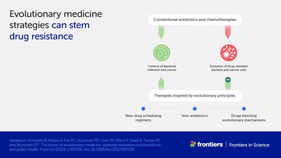Infographic showing how evolutionary medicine strategies can stem drug resistance via therapies inspired by evolutionary principles